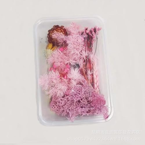 Oenothera 4 Boxen Echte Natürliche Getrocknete Blumen, DIY Natürliche Getrocknet Blumen, Blüten Trockenblumen, für Epoxidharz Oder Wohndekoration（Rosa, Zufällige Blumen） von Oenothera