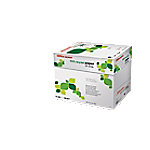 Office Depot Everyday DIN A4 Druckerpapier Recycelt 100% 80 g/m² Glatt Weiß 2500 Blatt von Office Depot