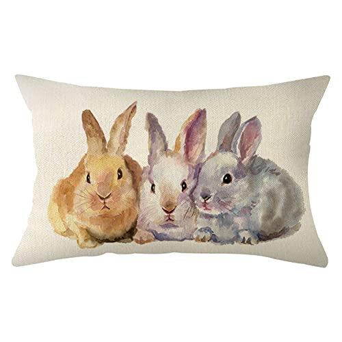 Ogiselestyle Osterhasen-Lendenwirbel-Kissenbezug, 30,5 x 50,8 cm, Frühlings-Kaninchen-Kissenbezug, Dekoration für Sofa, Couch von Ogiselestyle