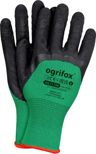 Ogrifox Latexhandschuhe, Schutzhandschuhe, Arbeitshandschuhe Ox.11.739 Halfom, Grün-Schwarz, 8 Größe, 240 Paar von Ogrifox
