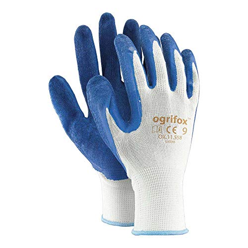 Ogrifox OX-Lateks_WN10 Latexhandschuhe, Schutzhandschuhe, Arbeitshandschuhe, Weiß-Blau, 10 Größe, 240 Paar von Ogrifox