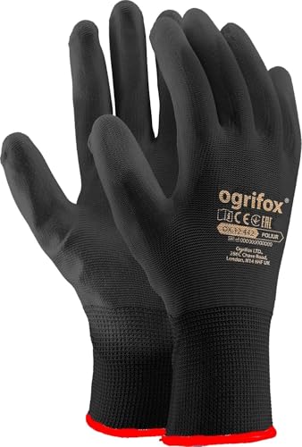 Ogrifox Unisex BB Schutzhandschuhe, Schwarz, Größe 8 (24 Paar) von Ogrifox