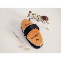 Bürste Kardätsche Striegel Mit Name | Pony Personalisierte Geschenk Pferdemädchen, Pferd, Pony, Reiten, Stall Ohcolli Bürste Kardätsche Striegel Mit Name | Pony Personalisierte Geschenk Pferdemädchen, Pferd, Pony, Reiten, Stall Ohcolli von Ohcolli