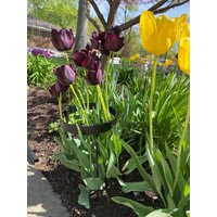 Kleine Runde Pflanzenstützringe, Blumenpfähle von OhioWoodandIronWorks