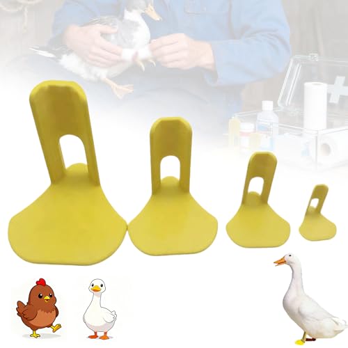Ohphnt Hühnerbein Schiene,hühnerbein Schiene Zur Fixierung - 4 Stücke Verstellbare Stützband Für Jungvögel Gänseküken Geflügel Gebrochene Füße Hähne Krähenkralle Gekrümmte Zehen-4pcs Ohphnt Hühnerbein Schiene,hühnerbein Schiene Zur Fixierung - 4 Stücke Verstellbare Stützband Für Jungvögel Gänseküken Geflügel Gebrochene Füße Hähne Krähenkralle Gekrümmte Zehen-4pcs von Ohphnt