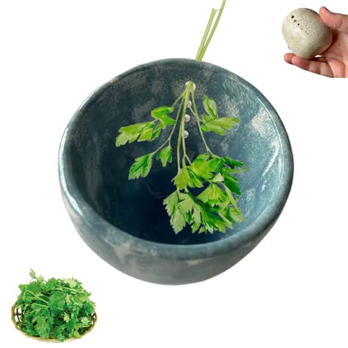 Ohphnt Pottery Herb Stripper,kräuterabstreifer Schale Stripper,Blatt Kräuter Stripper Schale,kräuterabstreifer Schale Aus Porzellan,herb Stripper Bowl,Keramik Kräuter -Stripper Bowl,Keramik Kräuter von Ohphnt