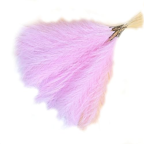 Ohulelks Künstlicher Schilf-Pampas-Blumenstrauß, Künstliches Pampasgras, 42,9 cm, Pampasgras, Boho-, Rosa, Einfache Installation Ohulelks Künstlicher Schilf-Pampas-Blumenstrauß, Künstliches Pampasgras, 42,9 cm, Pampasgras, Boho-, Rosa, Einfache Installation von Ohulelks