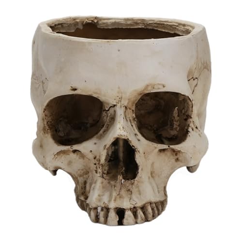 Ohulelks Totenkopf-Kerzenständer, Totenkopf-Kerzenständer, Teelichthalter, Gothic-Kerzenständer Aus Kunstharz, Basteln für Halloween-Dekoration A Ohulelks Totenkopf-Kerzenständer, Totenkopf-Kerzenständer, Teelichthalter, Gothic-Kerzenständer Aus Kunstharz, Basteln für Halloween-Dekoration A von Ohulelks