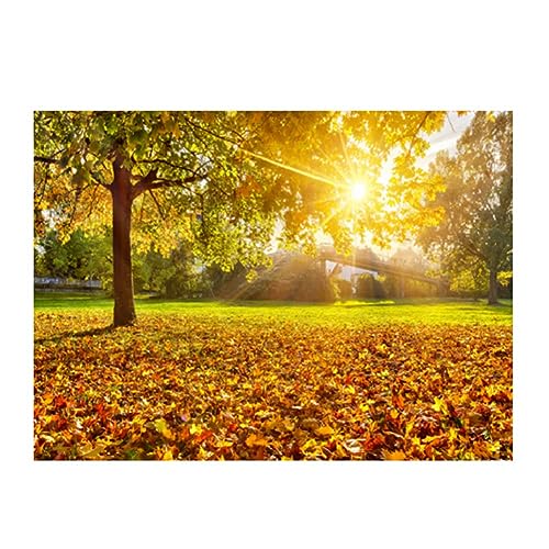 Ohulelks -Wandteppich, Sonnenstrahlen Durch Bäume, Landschaft, Malerischer Wandbehang für Schlafzimmer, Wohnzimmer, Wohnheim, Dekoration, Langlebig, Einfach zu Verwenden, 150 X 130 cm Ohulelks -Wandteppich, Sonnenstrahlen Durch Bäume, Landschaft, Malerischer Wandbehang für Schlafzimmer, Wohnzimmer, Wohnheim, Dekoration, Langlebig, Einfach zu Verwenden, 150 X 130 cm von Ohulelks