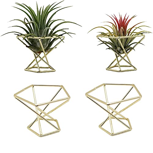 Oikabio 4 Stück geometrische Luftpflanzen-Halter, Metall-Pflanzenständer, Pflanzgefäße, Himmeli-Dekor, Tillandsien-Behälter von Oikabio