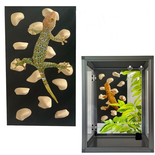 Okueejur Kletterwand für Bartagamen, Kletterfelsen, Wandgriffe für Bartagamen, Tankzubehör, Reptilien, Spielzeug, Felswand (Beige) von Okueejur