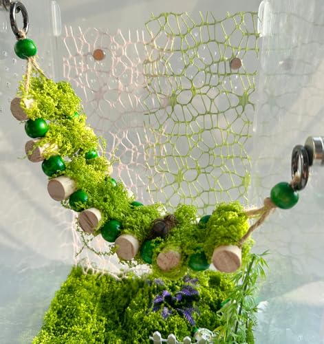 Okueejur Springende Spinnenseilbrücke, eine solide Holz-Kletter-Hängebrücke, Springspinnengehege, Zubehör, handgefertigte Spinnenspringplattform (groß) von Okueejur