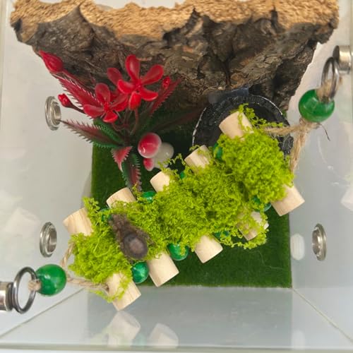 Okueejur Springende Spinnenseilbrücke, eine solide Holz-Kletter-Hängebrücke, Springspinnenzubehör, handgefertigte Spinnenspringplattform (klein) von Okueejur