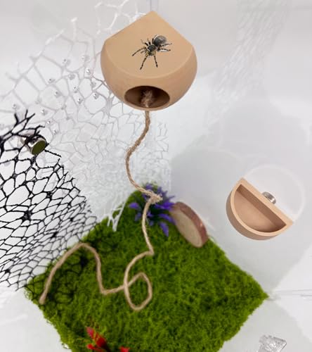 Springspinnenversteck mit Magneten & Futternapf - Gehegezubehör für Haustier Springspinnen Versteck Set für Spinnenraum (Beige) (Terrarium nicht enthalten) von Okueejur