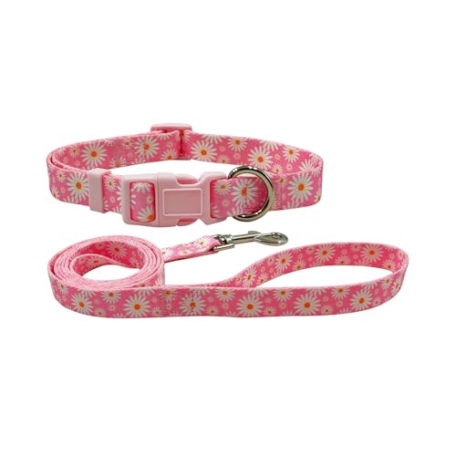 Olahibi Hundehalsband und Leine, niedliches Gänseblümchen-Blumenmuster, Polyester-Material, 1,5 m lange Leine, für kleine Hunde (Größe S, Hellrosa Gänseblümchen) von Olahibi