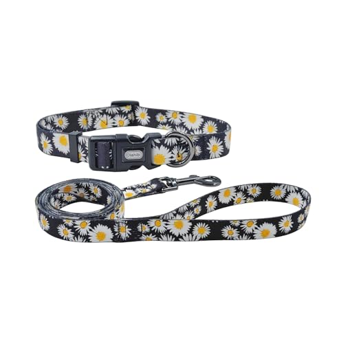 Olahibi Hundehalsband und Leine mit Gänseblümchenmuster, strapazierfähiges Polyester-Halsband und passende 150 cm lange Leine für kleine Hunde (Größe S, Gänseblümchen) von Olahibi