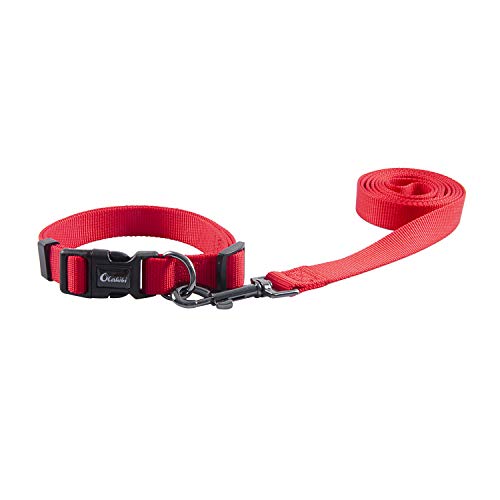 Olahibi Nylon-Hundehalsband-Leinen-Set, Halsband und 1,5 m Leine, für kleine Hunde (Größe S, Rot) von Olahibi
