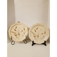 Mikasa Avante Torino Fe904 10 7/8" Teller Mikasa Avante Torino Fe904 10 7/8" Teller von OldThymeFarm