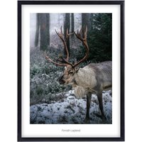 Finnland Lappland Premium Poster, Wall Art Prints, Wandbilder Wohnzimmer, Rentier Bild, Wanddeko, Fotoposter Naturmotive Wald Und Winter von OleKramerPhotography