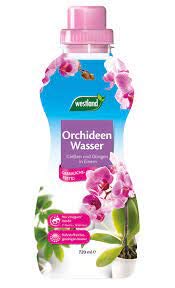 Sparset: 6 x WESTLAND® Orchideen Wasser, 720 ml von Oleanderhof