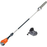 OLEOMAC PPi 35 40V Akku-Hochentaster, 25 cm Schwertlänge Macchina + batteria Bi 5.0 + caricabatteria von Oleo Mac