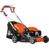 OLEOMAC G 53 TK COMFORT PLUS 166cc Mäher Schnitt 51cm selbstfahrende Sammlung 70L von Oleo Mac