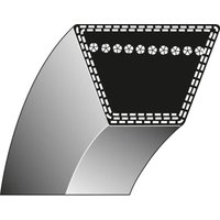 Oleo Mac - Trapezförmiger Antriebsriemen 3/8' x 22' emak Rasenmäher mr 53 3047007 Oleo Mac - Trapezförmiger Antriebsriemen 3/8' x 22' emak Rasenmäher mr 53 3047007 von Oleo Mac