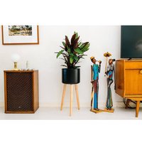 OH2 | Set mit 2 Zimmerpflanzen Calathea von OH2