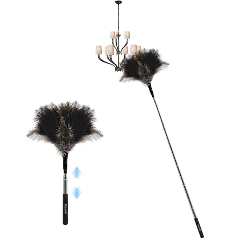 Olgary Teleskop Staubwedel mit Straußenfedern – Ausziehbar bis 120cm, Waschbar & Anti-Statisch für Deckenventilatoren, Empfindliche Oberflächen Olgary Teleskop Staubwedel mit Straußenfedern – Ausziehbar bis 120cm, Waschbar & Anti-Statisch für Deckenventilatoren, Empfindliche Oberflächen von Olgary