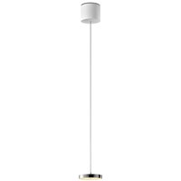 Oligo Decent LED Pendelleuchte, TW, unsichtbare Höhenverstellung von Oligo