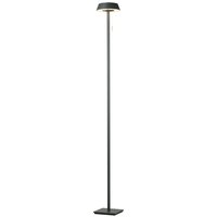 Oligo Glance LED Stehleuchte, gerade schwarz matt von Oligo