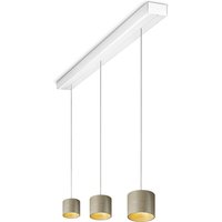 Oligo Tudor S LED Pendelleuchte, 3-flg., TW, unsichtbare Höhenverstellung, Baldachin: weiß matt champagner von Oligo