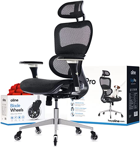 Oline ErgoPro ergonomischer Bürostuhl – Schreibtischstuhl mit verstellbarer 3D-Armlehne, 3D-Lendenwirbelstütze und erstklassigen Lenkrollen – Mesh-Computerstuhl, Gaming-Stuhl, Chefdrehstuhl (Schwarz) von Oline