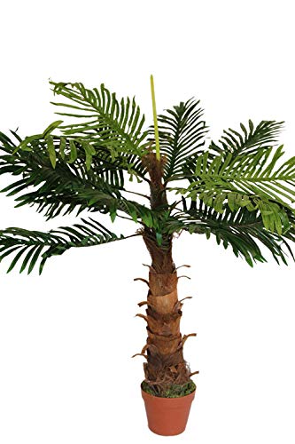 Künstliche Pflanzen - 1 m hoch, Künstliche Kokospalme mit Topf von Olive Grove