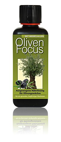 Dünger Oliven Focus 300ml Flüssigdünger Konzentrat Olivenbaum Olive von Oliven Focus