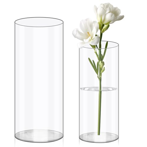 Olrla 2 Teiliges Set Transparente Acryl Blumenvase, Bruchsichere Kunststoff-Zylindervase für Blumenarrangements, Hochzeits-Mittelstücke, Heimwerken von Olrla