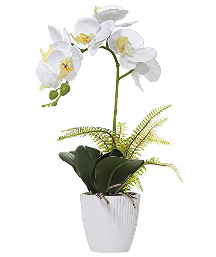 Olrla 41cm Weiß Künstliche Orchidee, Falsche Phalaenopsis mit Keramik Vase Hochzeit Garten Inneneinrichtungen (Weiß 1 Stiel) von Olrla