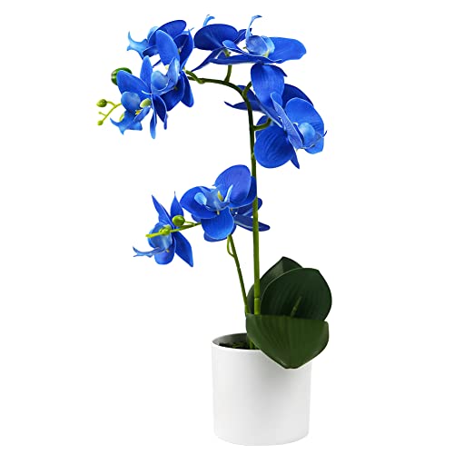 Olrla Blaue Orchideen-Kunstblumen im weißen Topf, gefälschte echte Orchideenblumen Dekoration für Küche Badezimmer Büro Hochzeit (königsblau 2) von Olrla