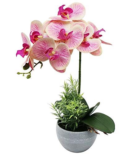 Olrla Künstliche Orchidee in grauem Topf, künstliche rosa Orchidee, fühlt sich echt an, künstliche Phalaenopsis-Bonsai für Büro, Zuhause, Hochzeit, Party, Innendekoration (Pink 1) von Olrla