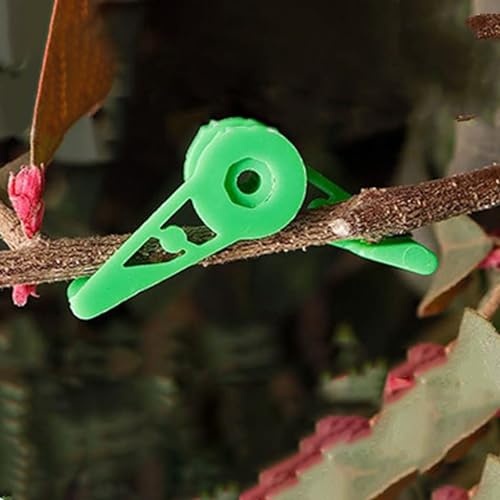 Omabeta 50 PCS 360 Grad Einstellbare Pflanzenclips für Stammbiegemittel, Pflanzentraining Clips, Wiederverwendbare Plastikbender -Clips, Clips mit Geringer Spannungsunterstützung von Omabeta