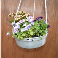 Alte Gugelhupf-Kuchenform Als Blumenampel Alte Gugelhupf-Kuchenform Als Blumenampel von OmasVintageDE