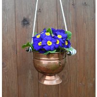 Vintage Kupfertopf Aus Holland Auch Als Hängeampel Vintage Kupfertopf Aus Holland Auch Als Hängeampel von OmasVintageDE