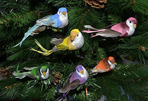 6pcs/Set,künstliche Vögel mit Clip,Dekovögel bunt, Lange Federn,Christbaumschmuck Weihnachtsbaumshmuck Vögel mit Klemmen Klammern, Weihnachtsbaumschmuck, Christbaumdeko Vögel (Dekovögel3) von Omeere