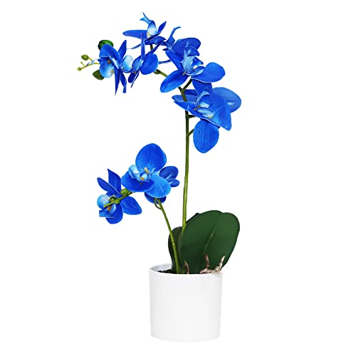 Omygarden Blaue Orchidee künstliche Blumen im Topf, künstliche Orchideenblumen, Dekoration für Home Office Hochzeit von Omygarden