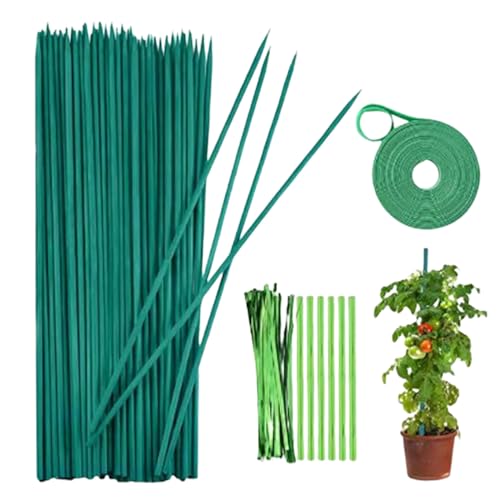 100pcs 38 cm Bambusstangen für Pflanzenstöcke Grüne Garteneinsätze für Pflanzenstützstick mit 100 PCs Twist -Krawatten 2 Rollen Blumenklebeband .. 100pcs 38 cm Bambusstangen für Pflanzenstöcke Grüne Garteneinsätze für Pflanzenstützstick mit 100 PCs Twist -Krawatten 2 Rollen Blumenklebeband .. von OnIUeZky
