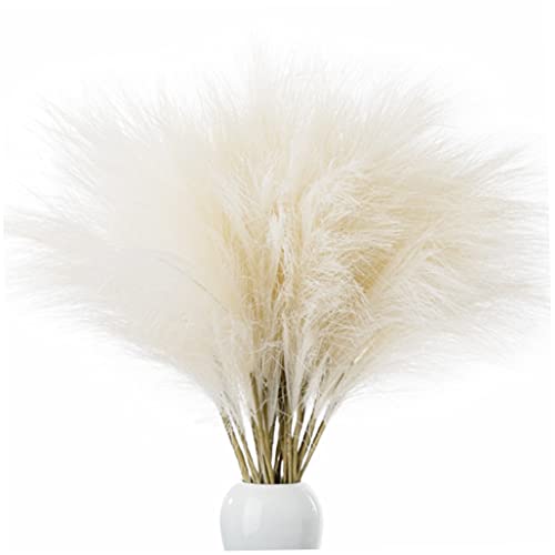 Faux Pampas Gras großes Pampas Gras Dekor Künstliche Flausche für Raumdekor 6pcs 45 cm Weiß .... Faux Pampas Gras großes Pampas Gras Dekor Künstliche Flausche für Raumdekor 6pcs 45 cm Weiß .... von OnIUeZky