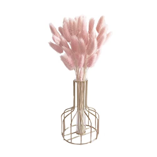 Getrockneter Hasenschwanzblume natürliche Kaninchenschwanz getrocknete Blumenblumenbuße Pampas Gras -Dekor für Wohnkultur 50pcs 50 cm Licht .... Getrockneter Hasenschwanzblume natürliche Kaninchenschwanz getrocknete Blumenblumenbuße Pampas Gras -Dekor für Wohnkultur 50pcs 50 cm Licht .... von OnIUeZky