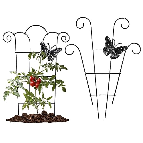 Gitter für Kletterpflanzen 2pcs 15.75x11.81 Zoll Gebogene Shpe Butterfly Decor Garten Garten -Stellplatten wasserdichte rostbezogene Pflanzenklettern für Innenräume im Freien. Gitter für Kletterpflanzen 2pcs 15.75x11.81 Zoll Gebogene Shpe Butterfly Decor Garten Garten -Stellplatten wasserdichte rostbezogene Pflanzenklettern für Innenräume im Freien. von OnIUeZky