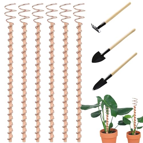 OnIUeZky Kupfergarten-Einsätze 6pcs 12in Dekorative Pflanzensteife hochrangige umweltfreundliche Elektrokultur Kupfergartenantenne für Pflanzen, Obst und Gemüse. OnIUeZky Kupfergarten-Einsätze 6pcs 12in Dekorative Pflanzensteife hochrangige umweltfreundliche Elektrokultur Kupfergartenantenne für Pflanzen, Obst und Gemüse. von OnIUeZky