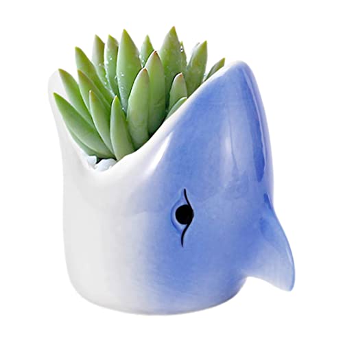 OnIUeZky Sukkulente Töpfe, Mini -Keramik -Blumen -Pflanzer -Topf mit Keramikschale, Haifischblumentöpfe für Innen- und Außengarten - Pflanzen Nicht inbegriffen (blau) (eins) .. von OnIUeZky